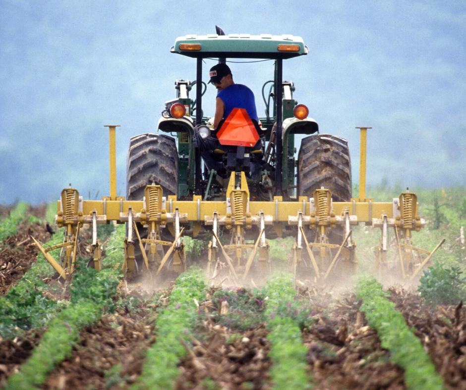 Good pasta comes from wheat producing farms. 