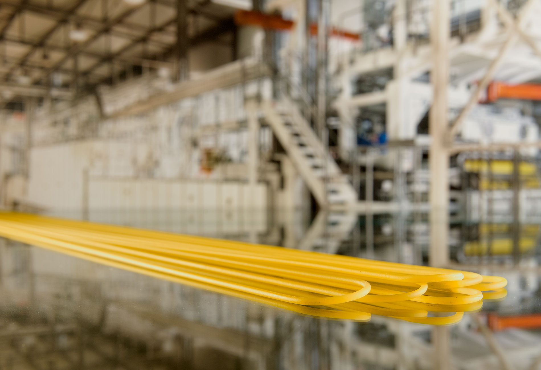 Fava dry pasta production lines